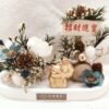 照晴進寶